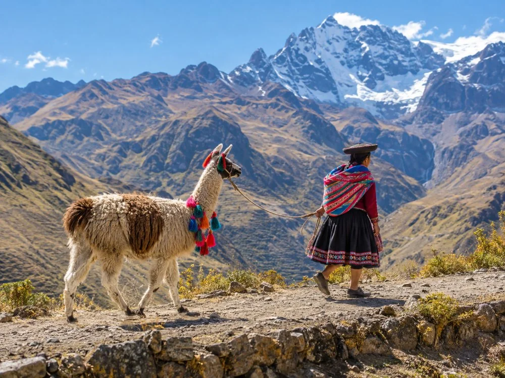 Eine Frau mit traditionellem andinem Hut und Schal, die ein Lama am Weg entlangführt